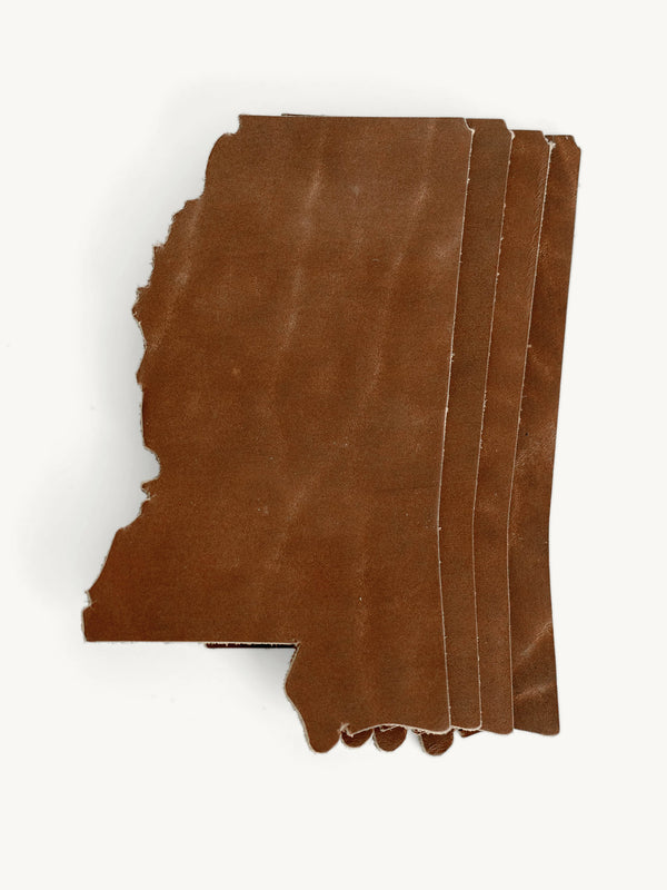 Mississippi State Shape Coasters