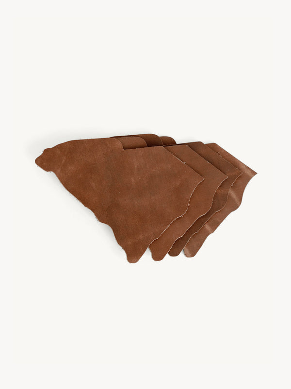 South Carolina State Shape Coasters