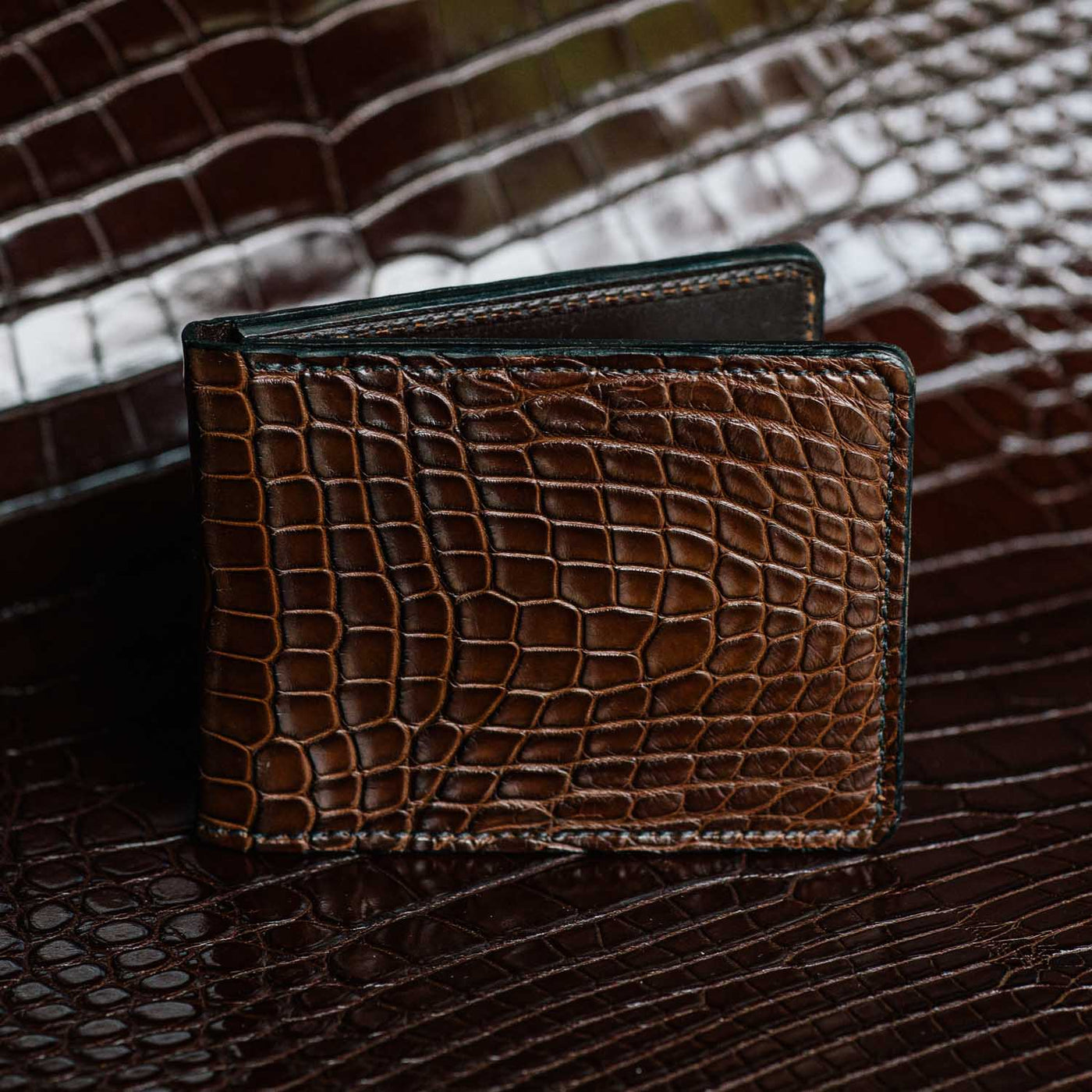 Dark Brown Alligator Traditional Bifold