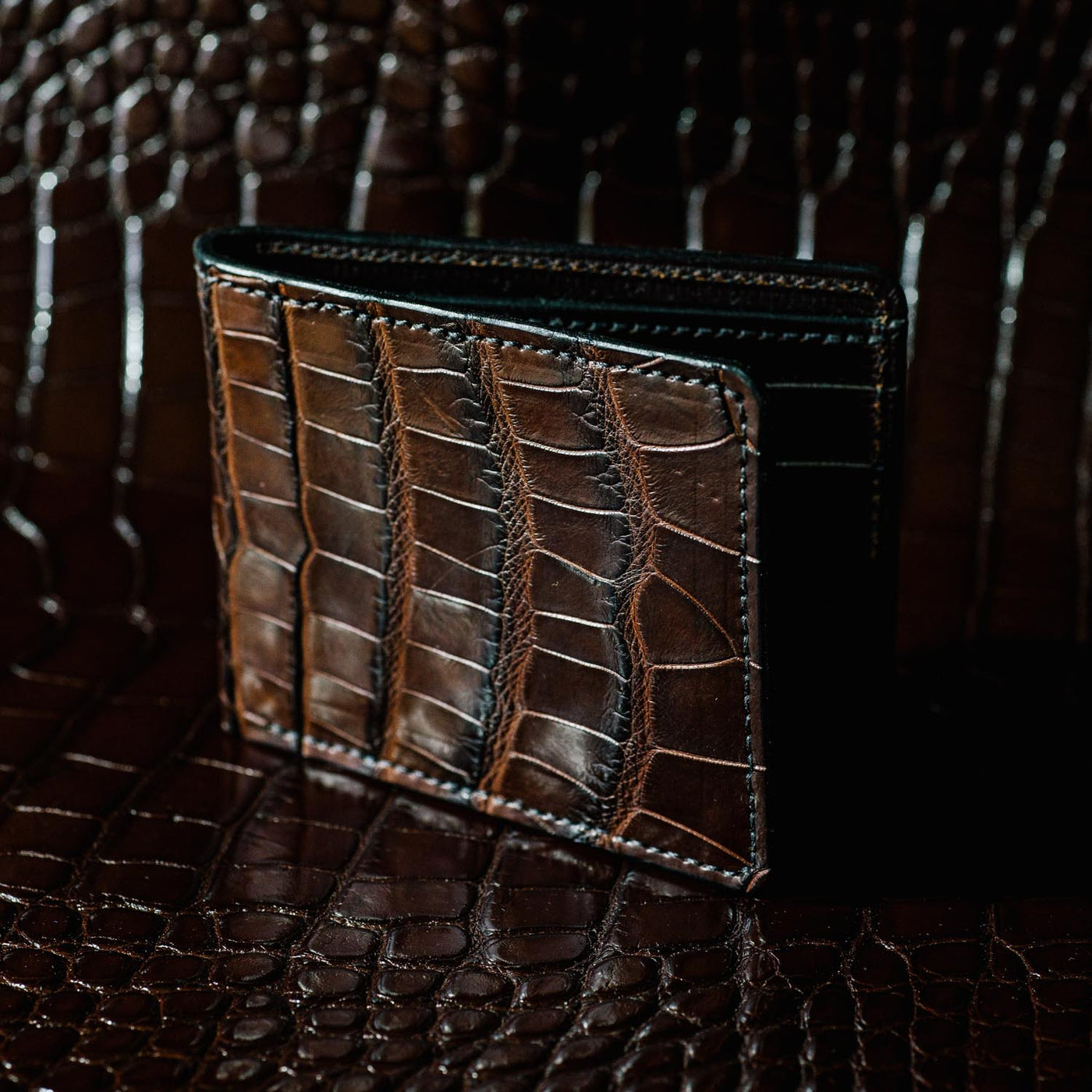 Dark Brown Alligator Traditional Bifold