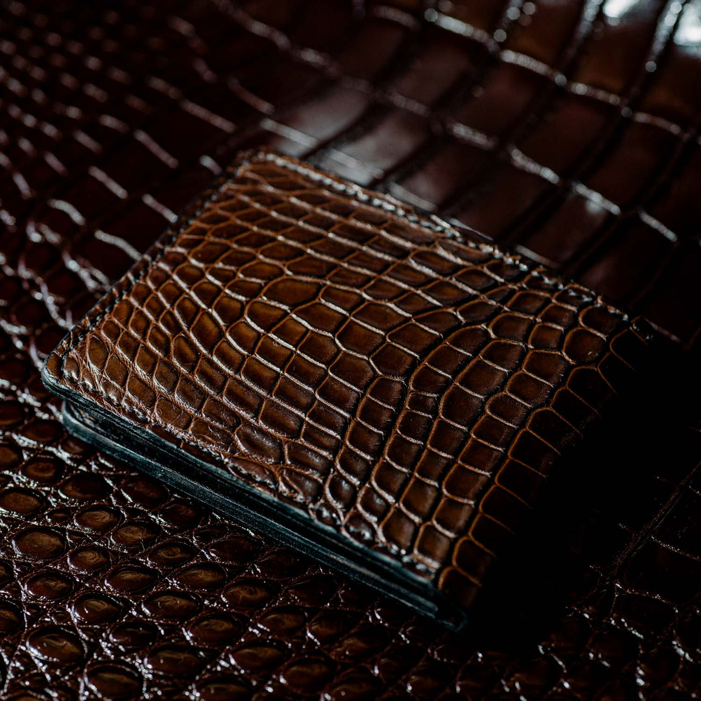 Dark Brown Alligator Traditional Bifold